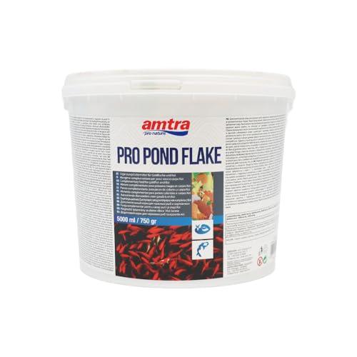 Amtra Pro Pond Flake 5000 ml - Mangime completo in scaglie per Carpe Koi e pesci rossi d'acquario e laghetti ornamentali, in fiocchi