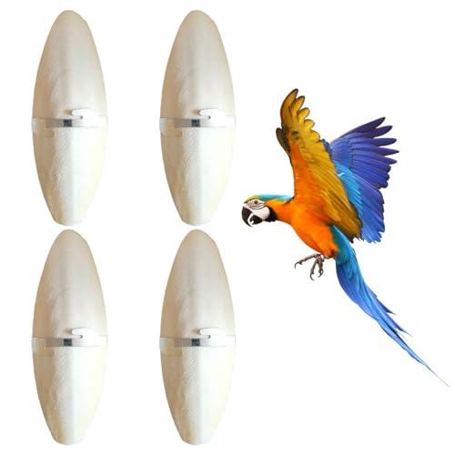 4 Pezzi Osso di Seppia per Pappagalli 11-13cm, Osso di Seppia per Tartarughe con 4 Supporti in Metallo, Naturale da Masticare per Uccelli Criceti Parrocchetti Animali Domestici Striscianti
