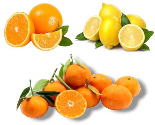 AgrumOtto Box Agrumi Misto da 10kg - 5kg Arance Navel, 3kg Clementine, 2kg Limoni - Freschi, Naturali, Prodotto 100% Salentino, Ideale per Spremute e Ricette