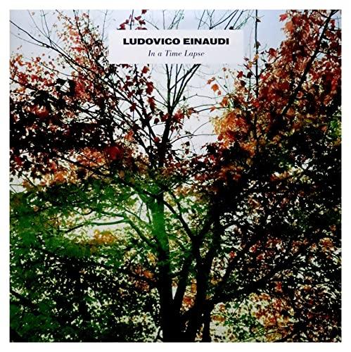 In A Time Lapse (2 LP)