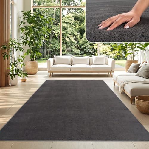 TT Home Tappeto Salotto Pelo Corto Monocolore Design Moderno Lavabile, Colore: Antracite, Dimensione:160x220 cm