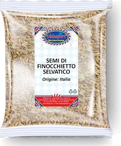 Semi di Finocchietto Selvatico Naturale Essiccati al Sole - Busta da 100 gr | Gluten Free Vegan | Pianta Aromatica Naturale per Liquori e Tisane - Aroma intenso, Qualità Premium (Finocchietto)