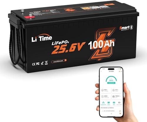 LiTime 24V 100Ah Lifepo4 Batteria con Bluetooth e Protezione Basse Temperature, Batteria Litio 24V con 100A BMS, Max. 2560Wh, 4000+ Cicli, per Caravan, Energetico Domestico, Sistemi Fuori Rete, Barca