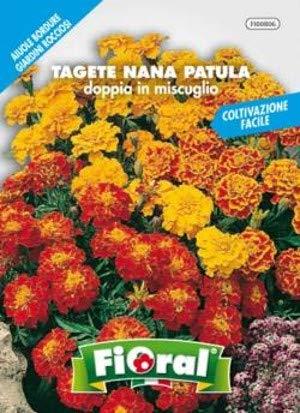 Sementi da fiore di qualità in bustina per uso amatoriale (TAGETE NANA PATULA DOPPIA IN MISCUGLIO)
