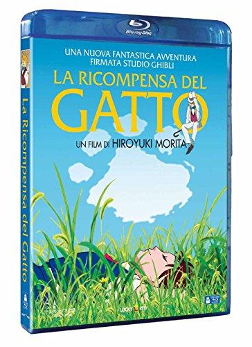 La Ricompensa del Gatto