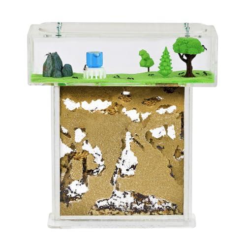 Ant Farm T with Free Ants and queen – Educational formicarium For Live Ants