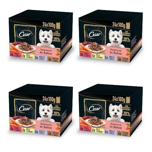 Cesar Selezione in Salsa, Cibo Umido per Cani, Gusti Assortiti con Carne e Verdure, 96 Bustine da 100 g, Totale 9.6 kg