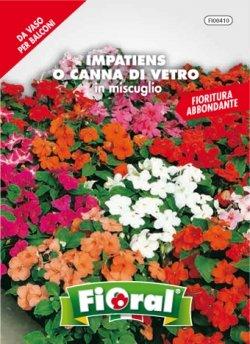Sementi da fiore di qualità in bustina per uso amatoriale (IMPATIENS O CANNA DI VETRO IN MISCUGLIO)
