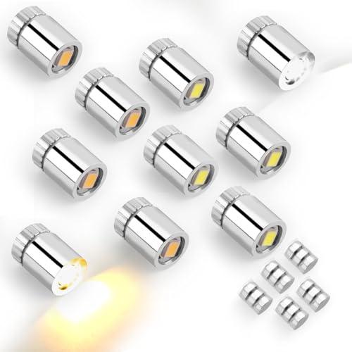 10pz Luci LED Miniatura, Mini Piccolo Luci con Batteria Inclusa Micro Faretto Elettrico per Fai Da Te Lanterne di Carta Accessori per la Casa delle Bambole (Bianco Caldo, Bianco Freddo)