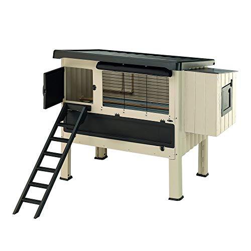 Ferplast Pollaio esterno HAPPY FARM 120 Casetta per galline ovaiole, Resina termoplastica e legno, per circa 6 galline, Nido, Tendina protettiva e Accessori inclusi, 140 x 139 x h 110 cm, Beige