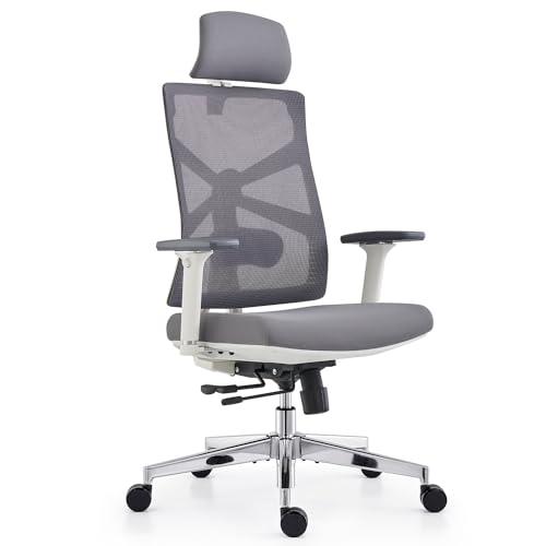 HOLLUDLE Sedia da Ufficio Ergonomica con Schienale Regolabile, Sedile Regolabile in Profondità, Braccioli 4D, Supporto Lombare e Poggiatesta 2D, Girevole a 360°, Design Moderno, Bianca