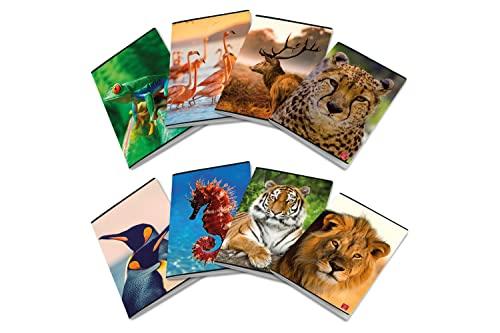 Pigna ANIMAL, Maxi Quaderni A4 Righe 0A Prima/Seconda Elementare, Confezione da 10 Pezzi