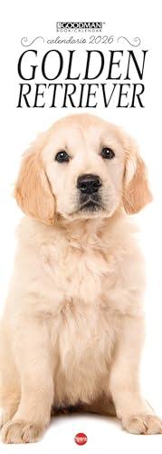 Golden retriever. Calendario 2026. Long