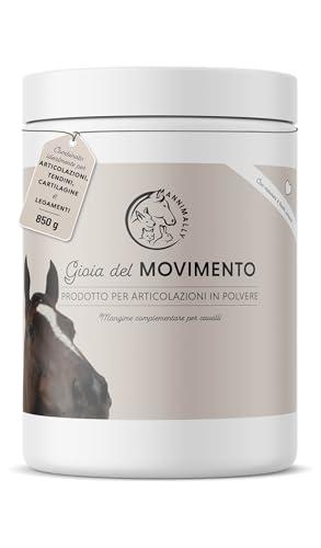 Polvere per Le articolazioni dei Cavalli 850g con Artiglio del Diavolo Cavallo, MSM Cavallo (Zolfo), Glucosamina e Condroitina - Msm integratore Cavalli per Il Rafforzamento delle Articolazi