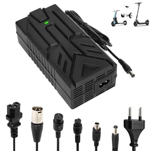 HPGAAVD 54,6V 2A Caricatore per Scooter Elettrico，Caricatore Hoverboard，48V Carricatore Universale batteria litio con 6 Connettori,Carica rapido per Hoverboard, Bici Equilibrata, Drifting Board,E-Bike