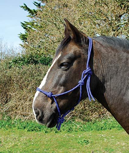 Rhinegold - Cavezza per Corda, Cavezza Corda, Blu Reale, Pony