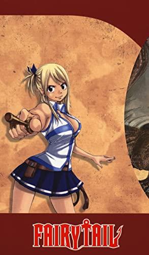 Fairy Tail collection (Vol. 9)