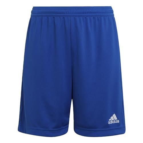 adidas Unisex - Bambini e ragazzi Entrada 22 Shorts, Royal Blue, 9-10 Years