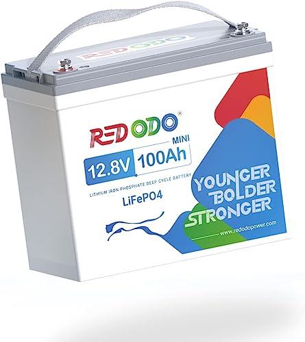 Redodo 12V 100Ah Mini LiFePO4 Batteria al litio Smaler & Lighter, Built-in 100A BMS, perfetto per il campeggio, l'accumulo di energia domestica solare, RV, Off-Grid