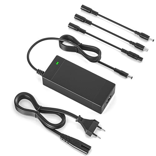 Caricatore Monopattino Elettrico per Xiaomi, 42V 2A Batteria Caricatore Caricabatterie Hoverboard per Xiaomi M365, Pro, Pro 2, Jetson, Segway Ninebot ES1 ES2 ES4 Scooter Elettrico, Bici Equilibrata