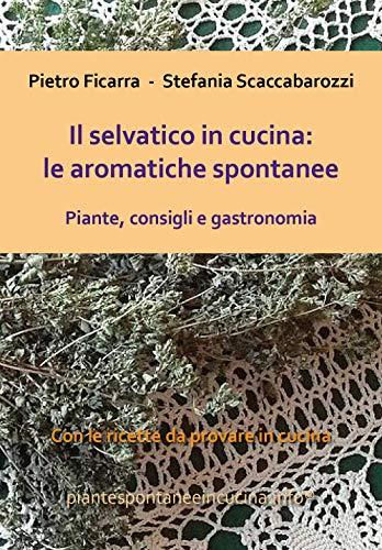 Il selvatico in cucina: le aromatiche spontanee. Piante, consigli e gastronomia