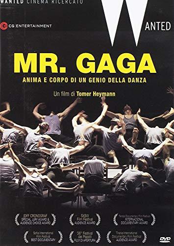 Mr Gaga