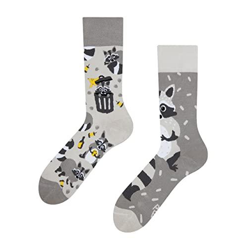Dedoles Calzini Unisex Donna Uomo & Bambini Calze Cotone con tanti Design divertenti sinistra destra diversi, colore: Grigio, disegno: Procione, taglia: 43-46