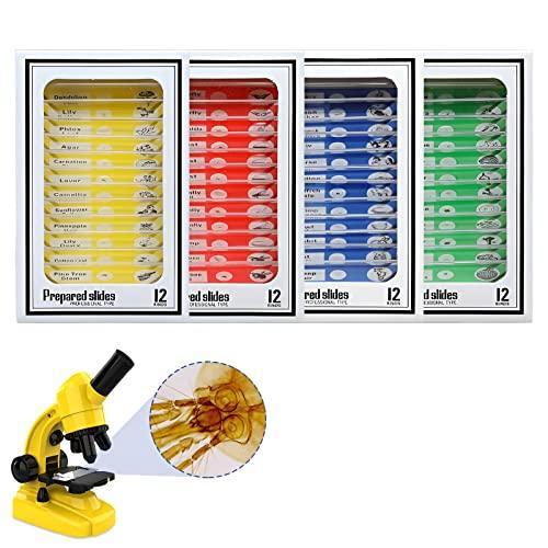Ninyoon 48 Pezzi Vetrini Per Microscopio Con Campioni Per Bambini - Bambini Preparati Vetrini Per Microscopio, Animali Insetti Piante Fiori Esemplari