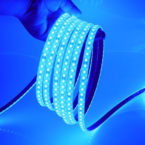 HEGEHE Striscia LED in silicone 24V [1M, Blu], IP65 Impermeabile Flessibile, SMD2835, 120 LEDs/M Striscia LED Tagliabile CRI85+, Decorazione per casa e negozio - Alimentatore non incluso