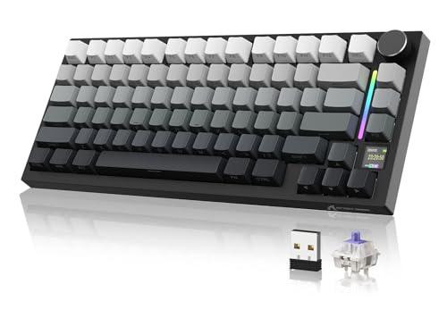 YINDIAO ATTACK SHARK X820 Ultra Gasket Tastiera Meccanica con Schermo TFT e Manopola, Layout ANSI al 75%, 2,4GHz/BT/Cablata, 5 Schiume Fonoassorbenti, Hot-swap, per PC,MAC (Moonlight, Regalo Switch)