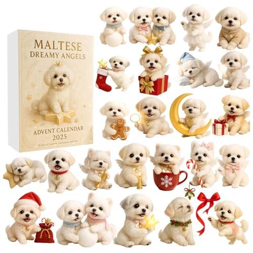 Calendario dell'Avvento Maltese Dreamy Angels 2025, conto alla rovescia di Natale di 24 giorni, divertenti decorazioni natalizie per abete, adorabili ornamenti da appendere in acrilico 2D per amanti
