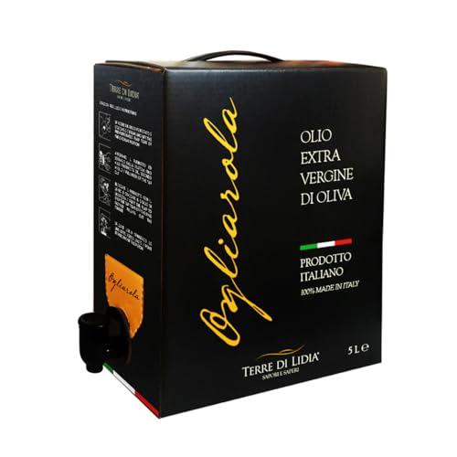 Terre di Lidia - Olio extravergine di oliva - 1 bag in box (5 L) - scatola con rubinetto laterale - Filiera corta, Campagna 2024/2025 - Varietà Ogliarola, Gusto Delicato - Produzione 100% italiana
