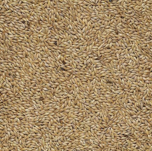 Il Contadino - Antichi Becchimi | Scagliola AD Uso ZOOTECNICO | Essenza di Semi Selezionati e Super Ventilati, No OGM, 100% Vegetale, Assenza di scarti. qualità Superiore (1 kg)