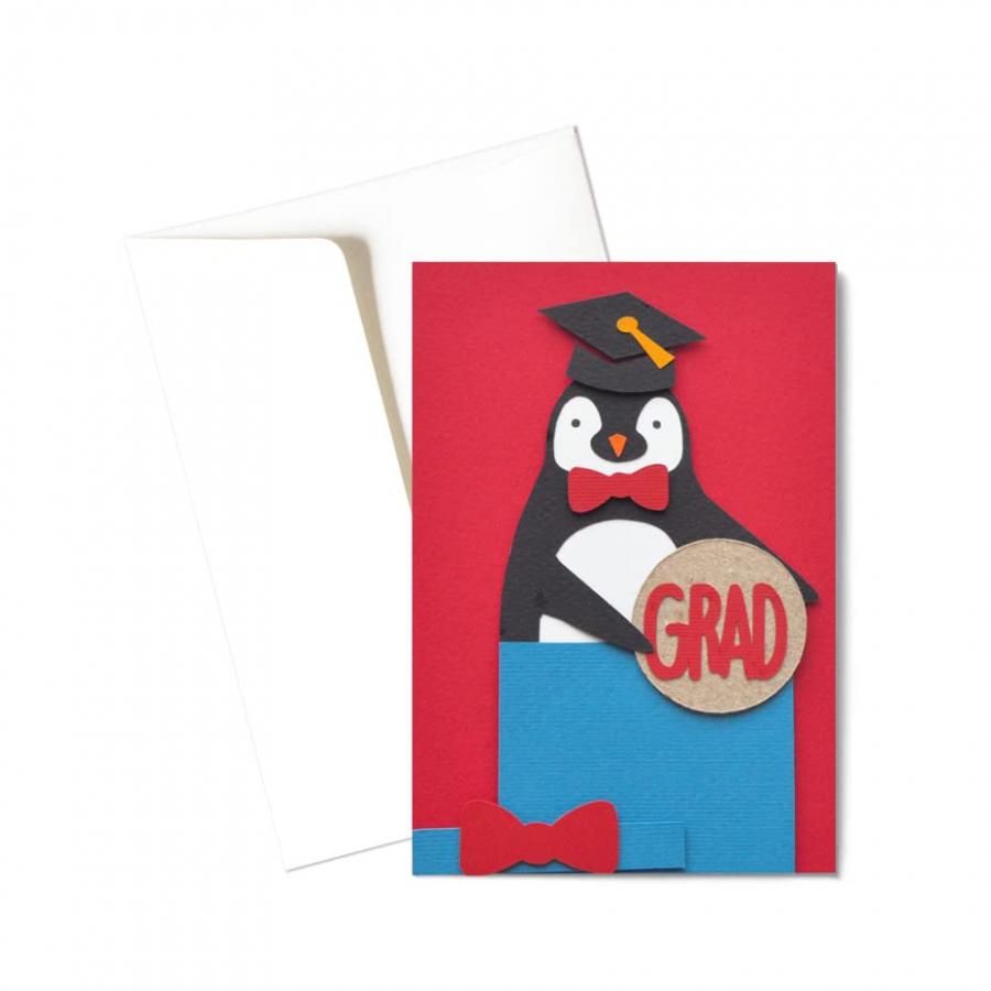 Laurea - pinguino - sorpresa biglietto d'auguri (formato 15 x 10,5 cm) - vuoto all'interno, ideale per il tuo messaggio personale - realizzato interamente a mano.