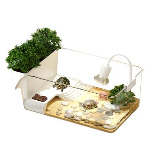 Vivario Per Tartarughe Piccole, Con Piattaforma Di Sole E Vaso, Materiale PET, Dimensioni 32.7x19.3x12.2cm Anche Per Acquari Piccoli E Granchi, Paesaggio Ecologico Per Interni, Superficie Di Lavoro