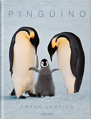 Fo-25 lanting, penguin - espagnol -