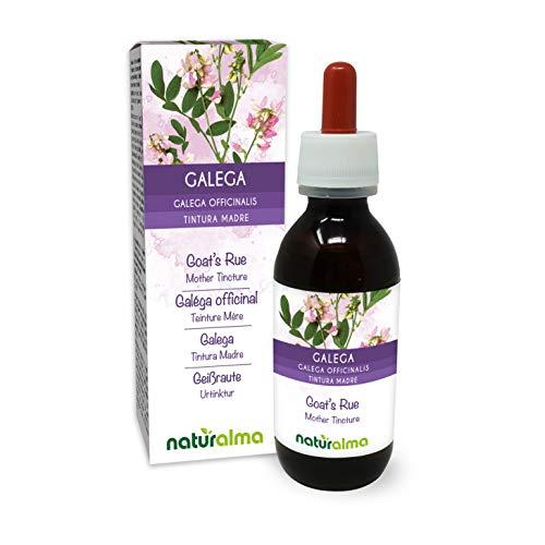 Galega (Galega officinalis) erba con fiori Tintura Madre analcoolica Naturalma - Estratto liquido gocce 120 ml - Integratore alimentare - Vegano