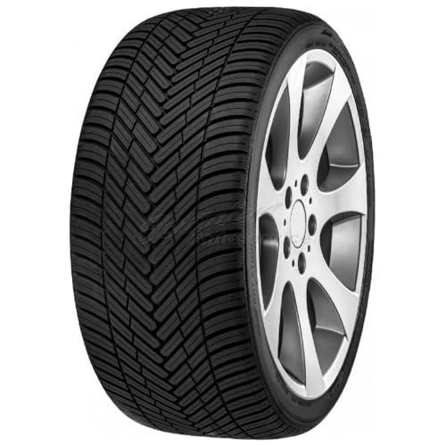 FORTUNA Pneumatici per tutte le stagioni 225/45 R 17 TL 91W ECOPLUS2 4S BSW M+S 3PMSF per tutte le stagioni