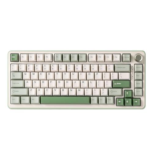 YUNZII B75 PRO tastiera meccanica, 75% per tastiera da gioco, guarnizione hot swap Keyboard con pulsante, interruttore pre-lubrificato RGB, BT/Type-C/2.4G Creamy Keyboard (Matcha Green, Cocoa Cream V2