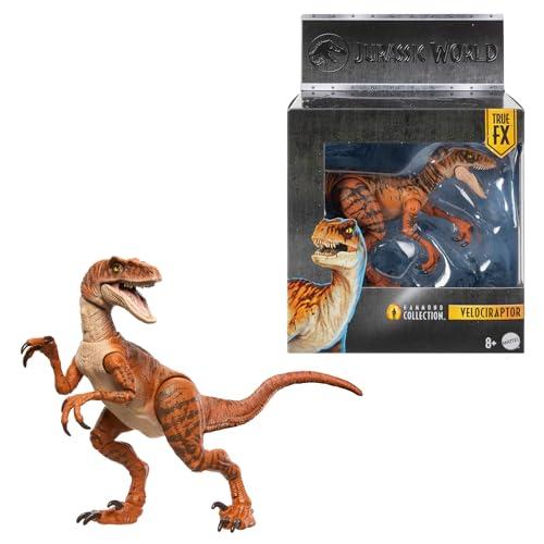 Mattel Jurassic World Hammond Collection, Dinosauro Atrociraptor Tiger, dettagli autentice e articolazioni, JDJ09