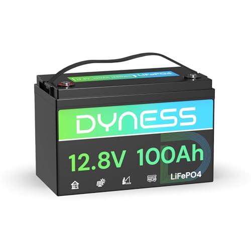 Dyness Batteria Litio 12V 100Ah LiFePO4 a Ciclo profondo con 100A BMS, Protezione Dalle Basse Temperature, Max. 15000 cicli, per Camper, Impianti Solari off-grid, Fotovoltaico Accumulo