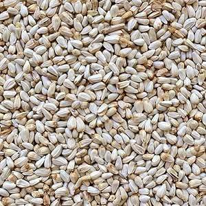Il Contadino - Antichi Becchimi | CARTAMO AD USO ZOOTECNICO | Essenza di semi Selezionati e Super Ventilati, No OGM, 100% Vegetale, Assenza di scarti. Qualità Superiore (1 Kg)