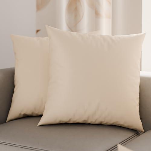 PETTI Artigiani Italiani - Coppia di Federe Cuscino 40x40 cm in Microfibra, Cuscini Arredo Camera da Letto, Divano, Set 2 Fodere Copricuscino, Federa Tinta Unita Beige, 100% Made in Italy