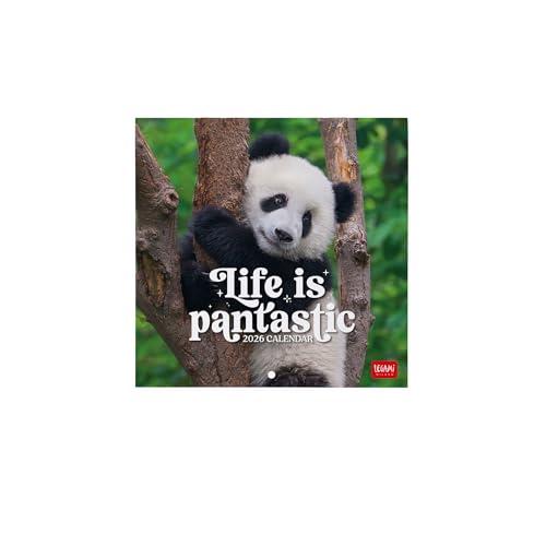 Legami - Calendario da Parete 2026, Life Is Pandastic, Calendario da Muro Piccolo, 12 Mesi e Planner Annuale, in 6 Lingue, Spazio per Note, Segni Zodiacali, Festività Internazionali, 18 x 18 cm