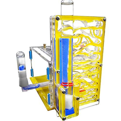 Nido delle formiche fai da te HUIOP Fai da te T-Design Feeding Area Acrilico Farm Insetto Villa Pet Mania House Ant Nest Regalo di compleanno regalo