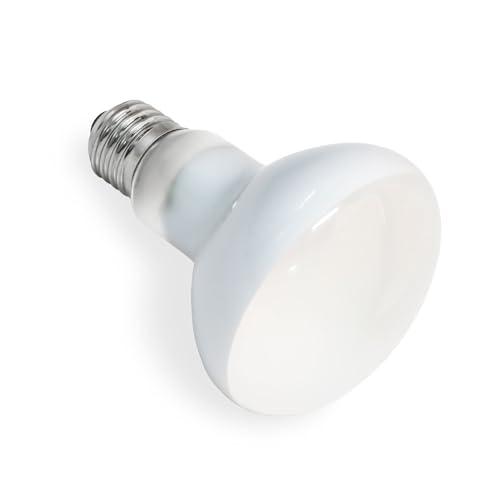 SCNNC Lampadina riscaldante R80 E27 per rettili, 100 W, AC 220 V, lampadina a luce di calore a tartaruga, dimmerabile, UVA E27, per anfibi, lucertole, tartarughe, serpenti, draghi barbuti, 1