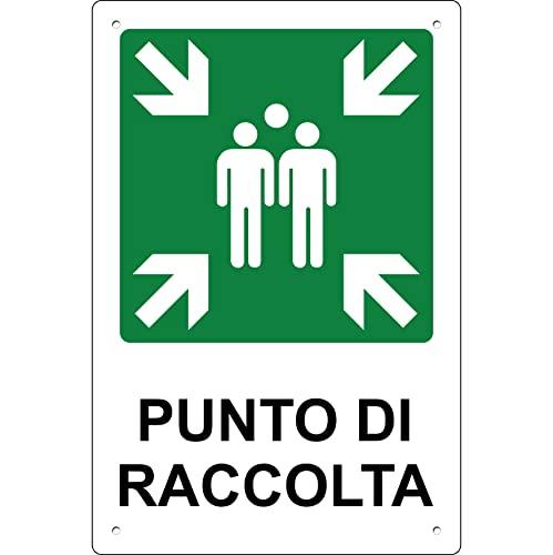 Pubblimania Punto di Raccolta | Cartello di emergenza e sicurezza in alluminio metallo composito 3 mm di spessore (Cm 20x30) (Punto di Raccolta)