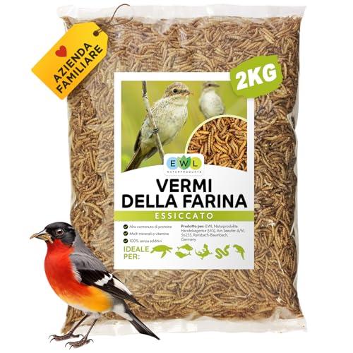 EWL Naturprodukte Vermi della farina essiccati, 2kg (13l), snack per uccelli, pesci, tartarughe, roditori e rettili