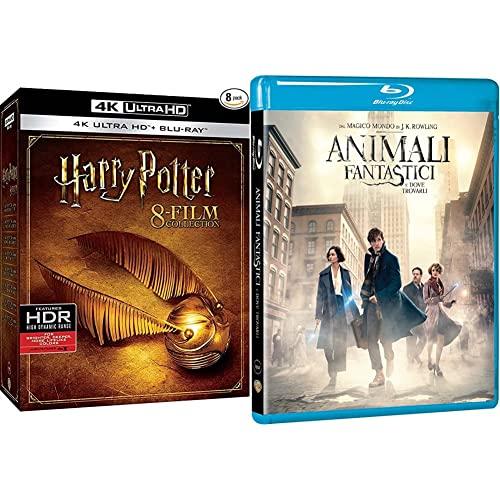 Harry Potter 1-8 Collezione Completa (Box 16 Blu-Ray 4K Ultra-HD) & Animali Fantastici E Dove Trovarli
