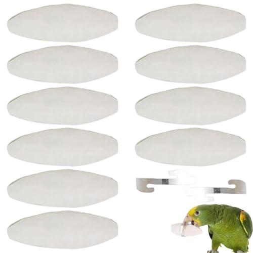 10 Pz Osso di Seppia,Osso di Seppia per Pappagalli,Osso di Seppia per Tartarughe,Osso di Seppia per Uccelli,Osso di Seppia Naturale,con 2 Supporti in Metallo,11-12cm,per pappagalli,tartarughe,uccelli